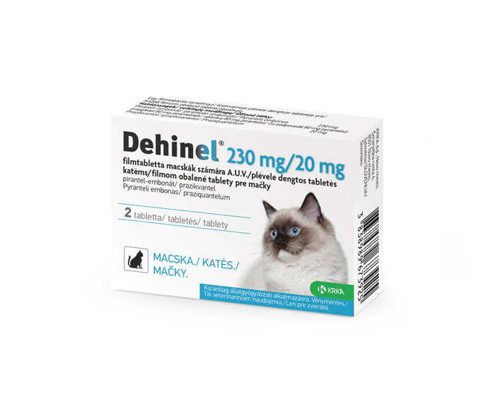 Dehinel